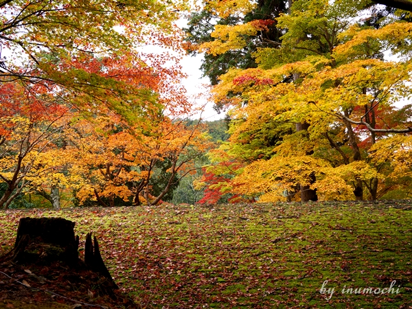 紅葉狩り＠神護寺_e0156083_9372217.jpg