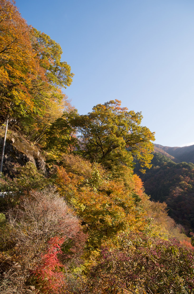 静岡県道389号（水窪 向市場〜山住神社）　紅葉　2013/11/xx - 01_a0142487_23463970.jpg