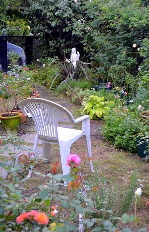 d0099791_1250979.jpg