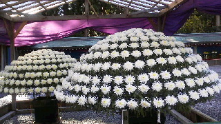 f0016892_2255309.jpg