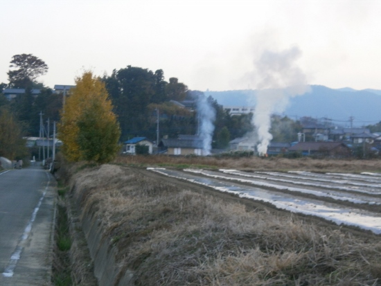 d0000995_23101822.jpg