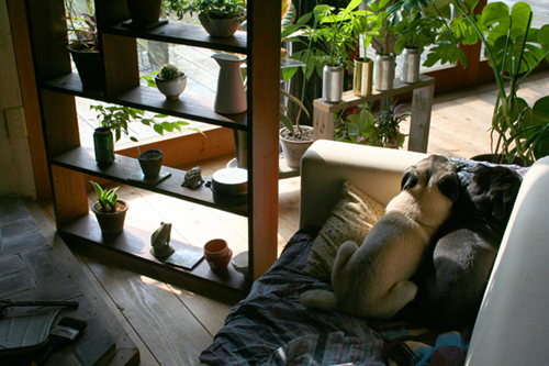 d0100095_45211.jpg