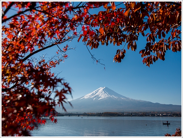 富士山と紅葉_c0140196_12561057.jpg