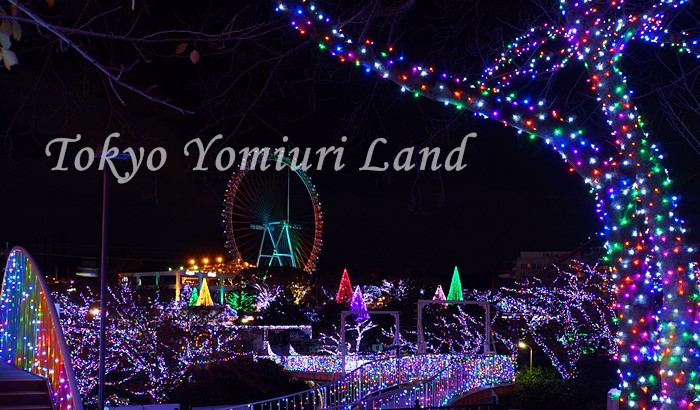 感動! よみうりランド イルミネーション 2013_b0145398_2147117.jpg