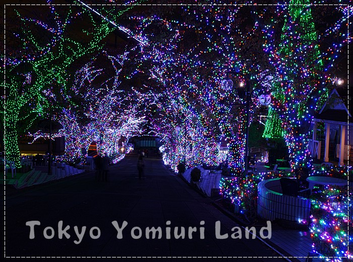 感動! よみうりランド イルミネーション 2013_b0145398_21482777.jpg