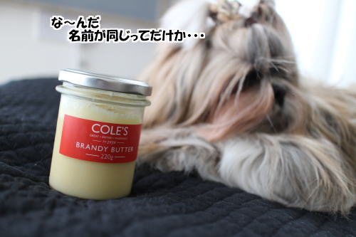 ブランディ・バター?&ロンドンの美味しいチョコ_c0090198_252051.jpg