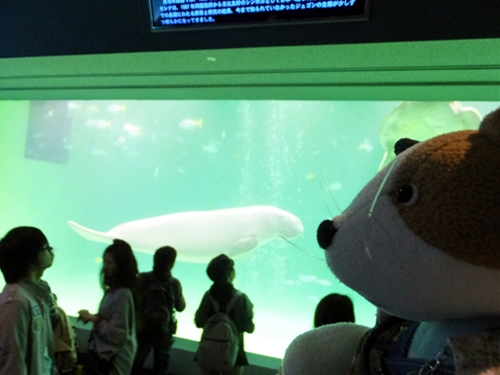 f0256400_7522664.jpg
