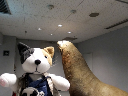 f0256400_88941.jpg