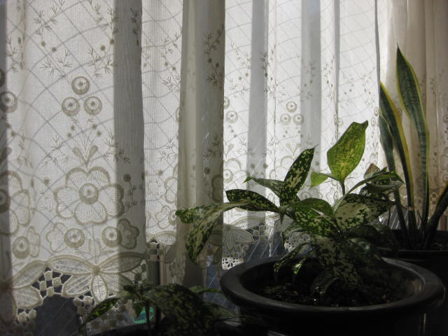 a0224502_1018238.jpg