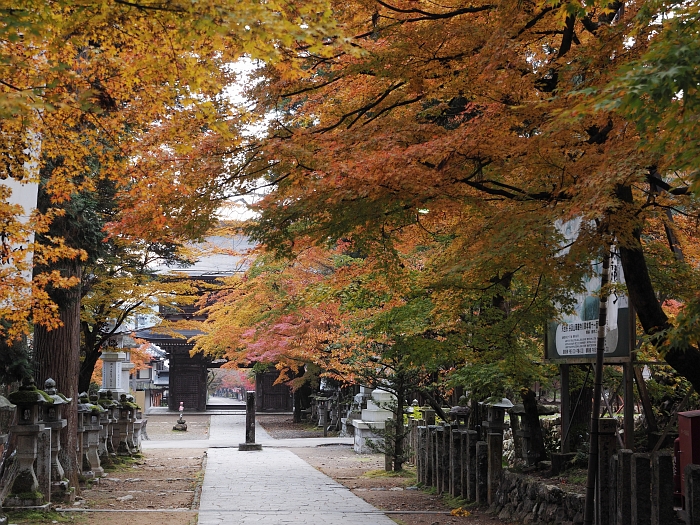 2013年　紅葉ツーリング　第5弾その1　：　谷汲山華厳寺_e0075403_1814253.jpg