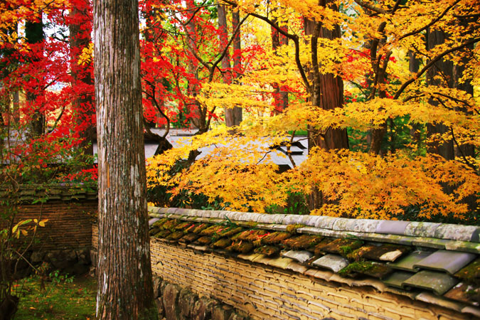 古峰神社と古峰園の紅葉1_a0263109_17344931.jpg