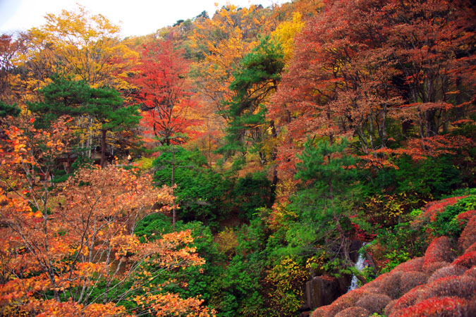 古峰神社と古峰園の紅葉2_a0263109_17445315.jpg