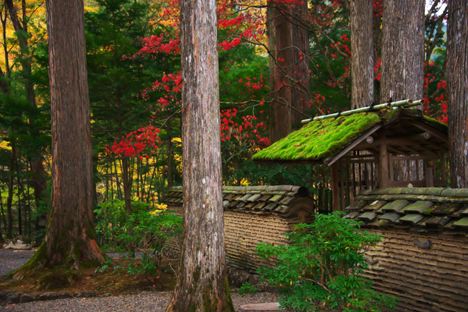 古峰神社と古峰園の紅葉2_a0263109_17464370.jpg