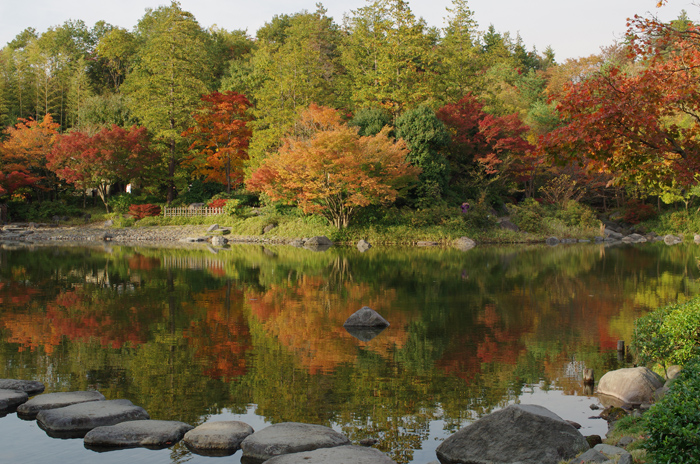 昭和記念公園　紅葉　5　日本庭園_b0151409_2250069.jpg