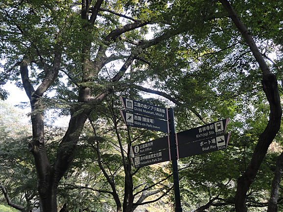 e0230011_1733502.jpg