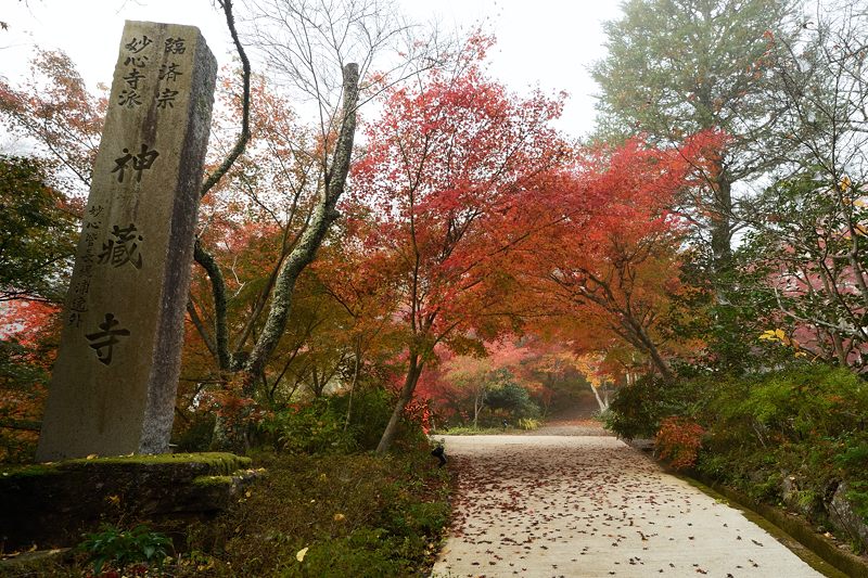 2013京都の紅葉!・神蔵寺 其の一_f0032011_2001217.jpg