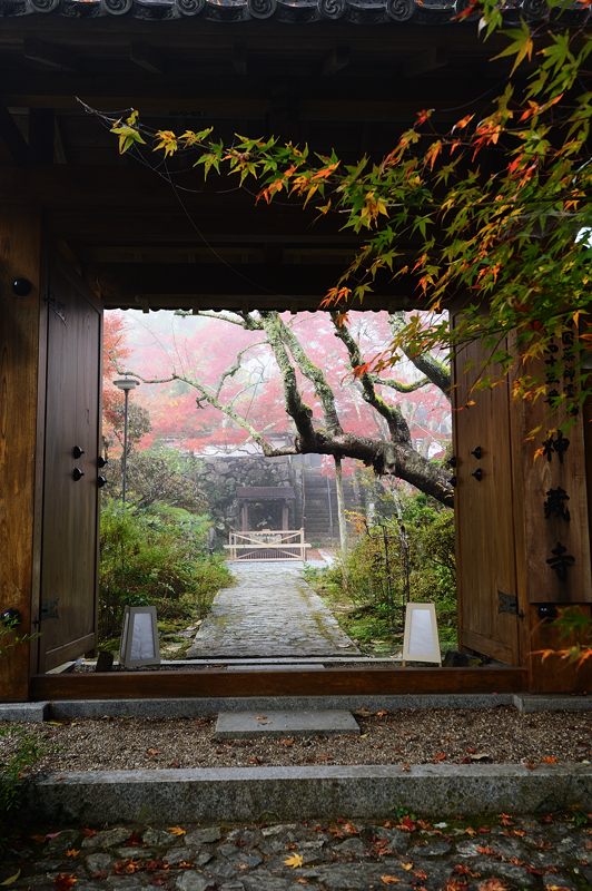 2013京都の紅葉!・神蔵寺 其の一_f0032011_2004269.jpg