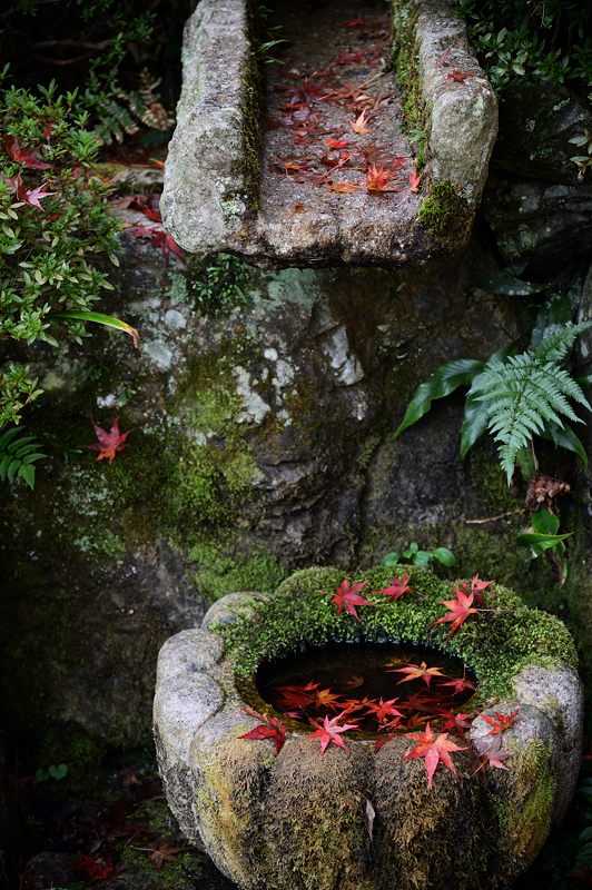 2013京都の紅葉!・神蔵寺 其の一_f0032011_20103180.jpg