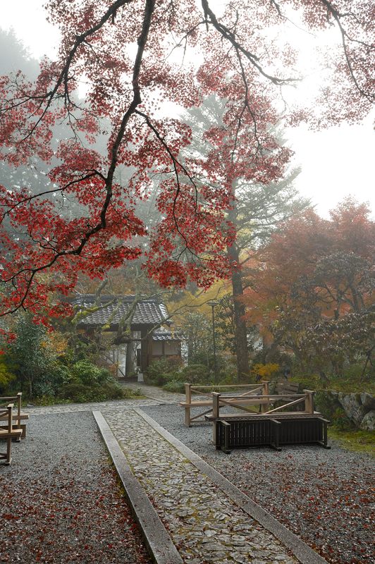 2013京都の紅葉!・神蔵寺 其の一_f0032011_2024621.jpg