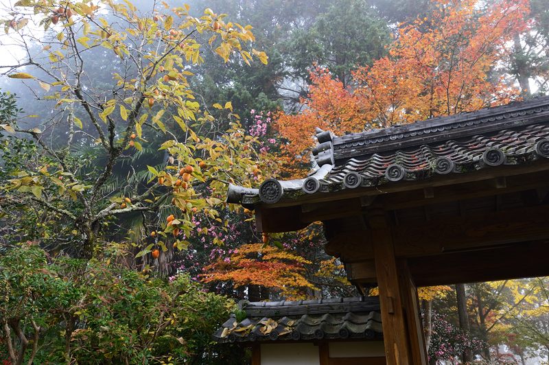 2013京都の紅葉!・神蔵寺 其の一_f0032011_202554.jpg