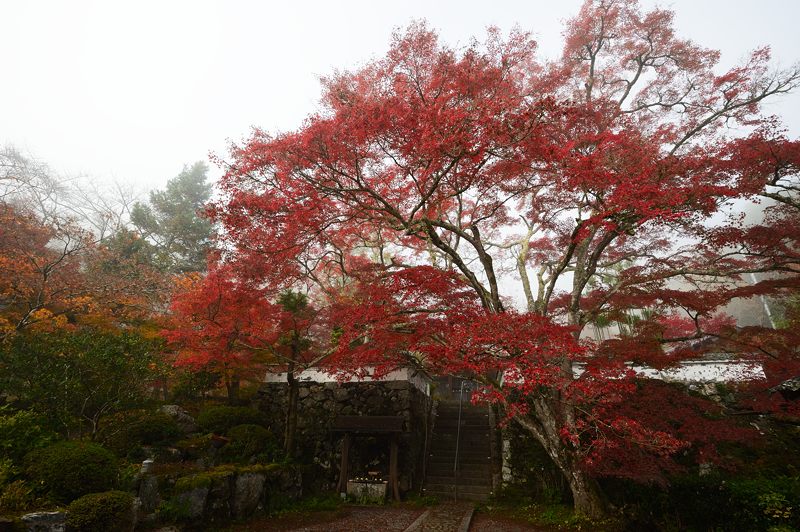 2013京都の紅葉!・神蔵寺 其の一_f0032011_203842.jpg