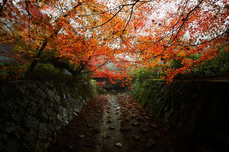 2013京都の紅葉!・神蔵寺 其の一_f0032011_2063186.jpg