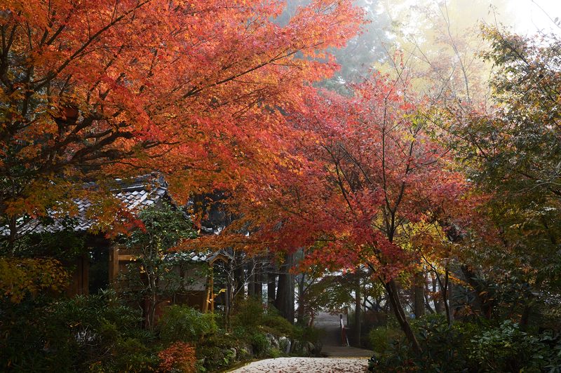 2013京都の紅葉!・神蔵寺 其の一_f0032011_2065094.jpg