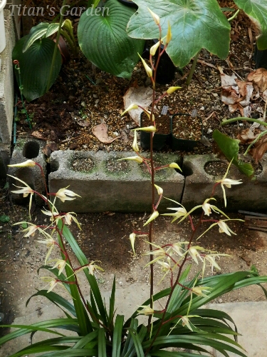 b0099813_092428.jpg