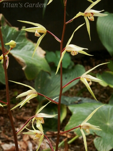 b0099813_092430.jpg