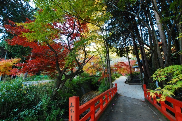 紅葉　-　神蔵寺_a0114714_15512250.jpg