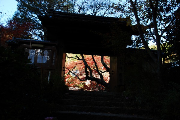 紅葉　-　神蔵寺_a0114714_15515431.jpg