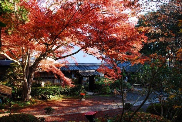 紅葉　-　神蔵寺_a0114714_15522694.jpg