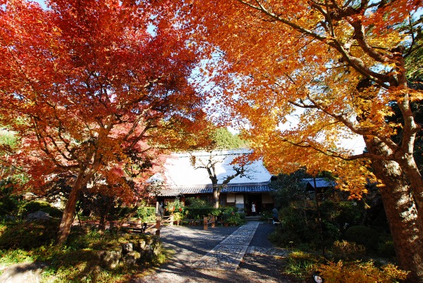 紅葉　-　神蔵寺_a0114714_15524579.jpg