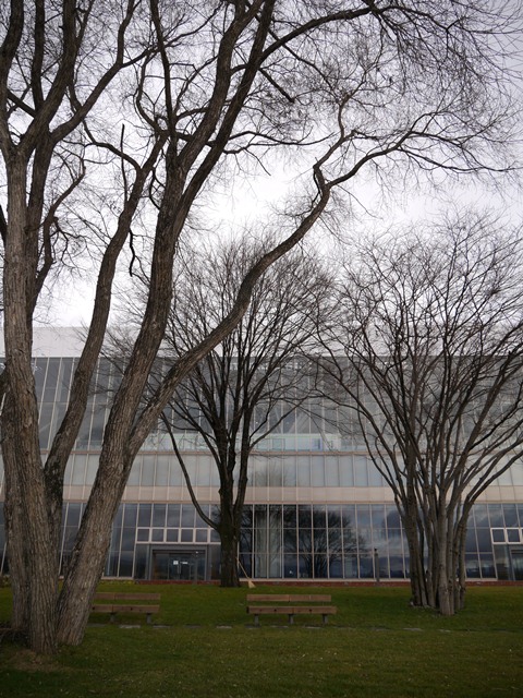 e0336214_1485925.jpg