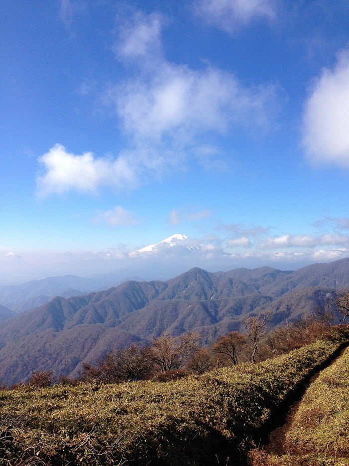 f0225414_20414699.jpg