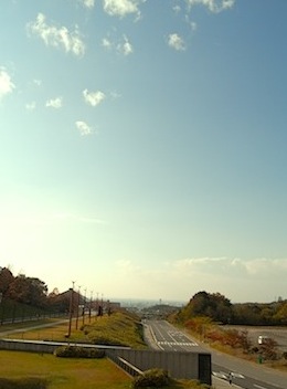 休日 デイドリームビリーバー_d0263815_1621522.jpg