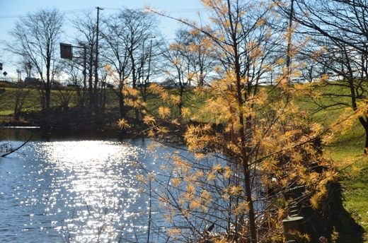 e0062415_1733145.jpg