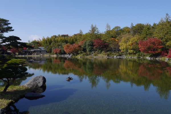 昭和記念公園の秋_b0183917_0161442.jpg