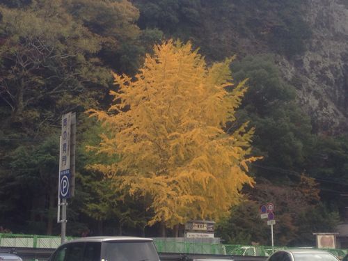 e0224118_20221350.jpg