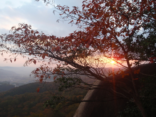 c0223019_22453416.jpg