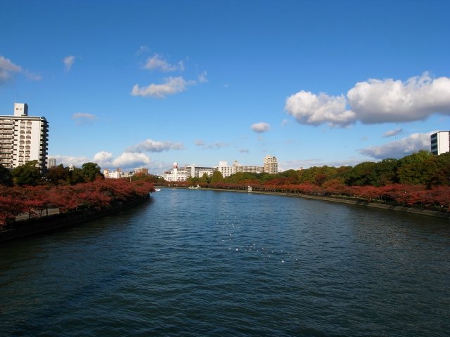 大阪法務局の行き帰りに紅葉狩り_f0209122_17185481.jpg