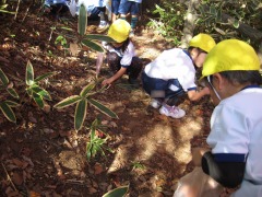 11月19日(年中 園外保育 天覧山)_d0091723_18234735.jpg