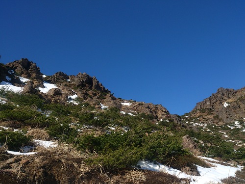 d0269923_8173394.jpg