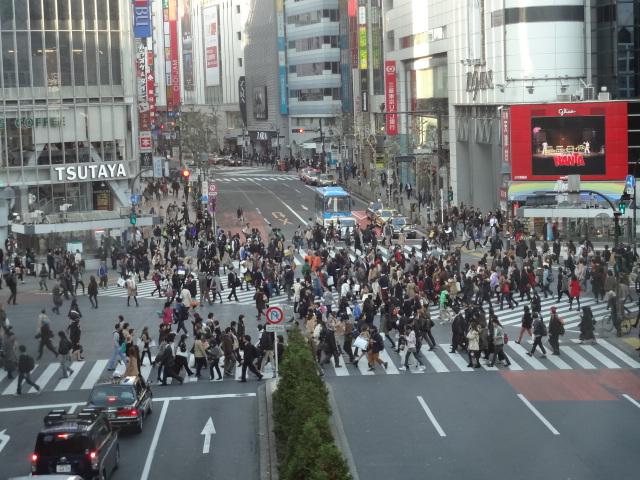 立川→吉祥寺→青山→江ノ電_f0148927_22302254.jpg