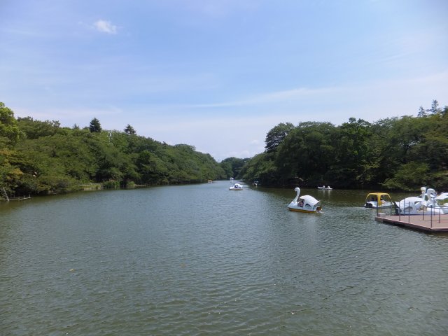 a0198528_0162982.jpg