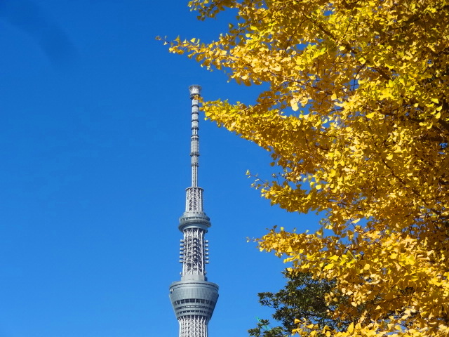 e0016828_12344179.jpg