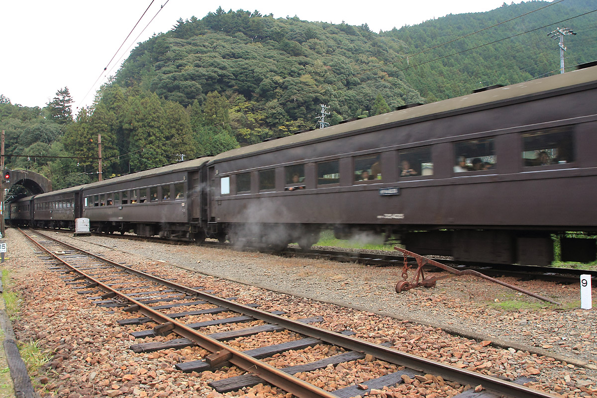 b0222029_20233539.jpg