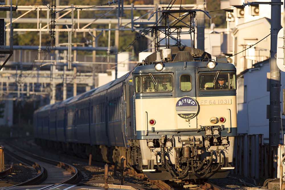 a0152631_16434781.jpg
