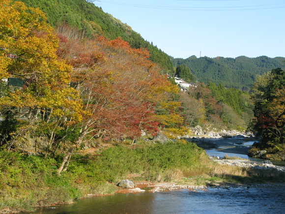 d0323231_1051292.jpg