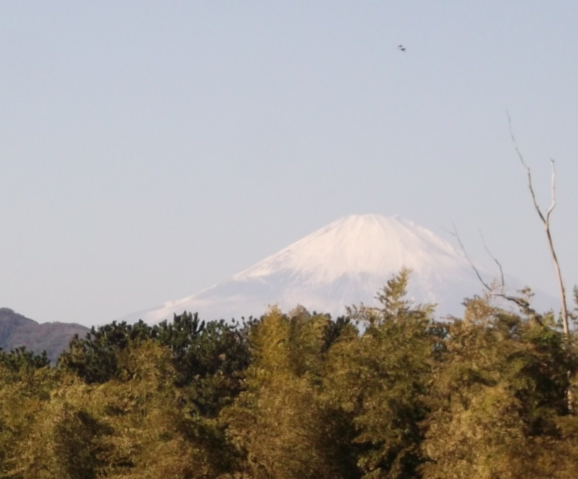 b0137932_20564929.jpg